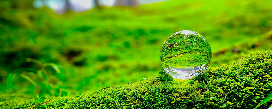 環境との関わり